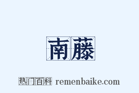 南藤是什么意思的图片